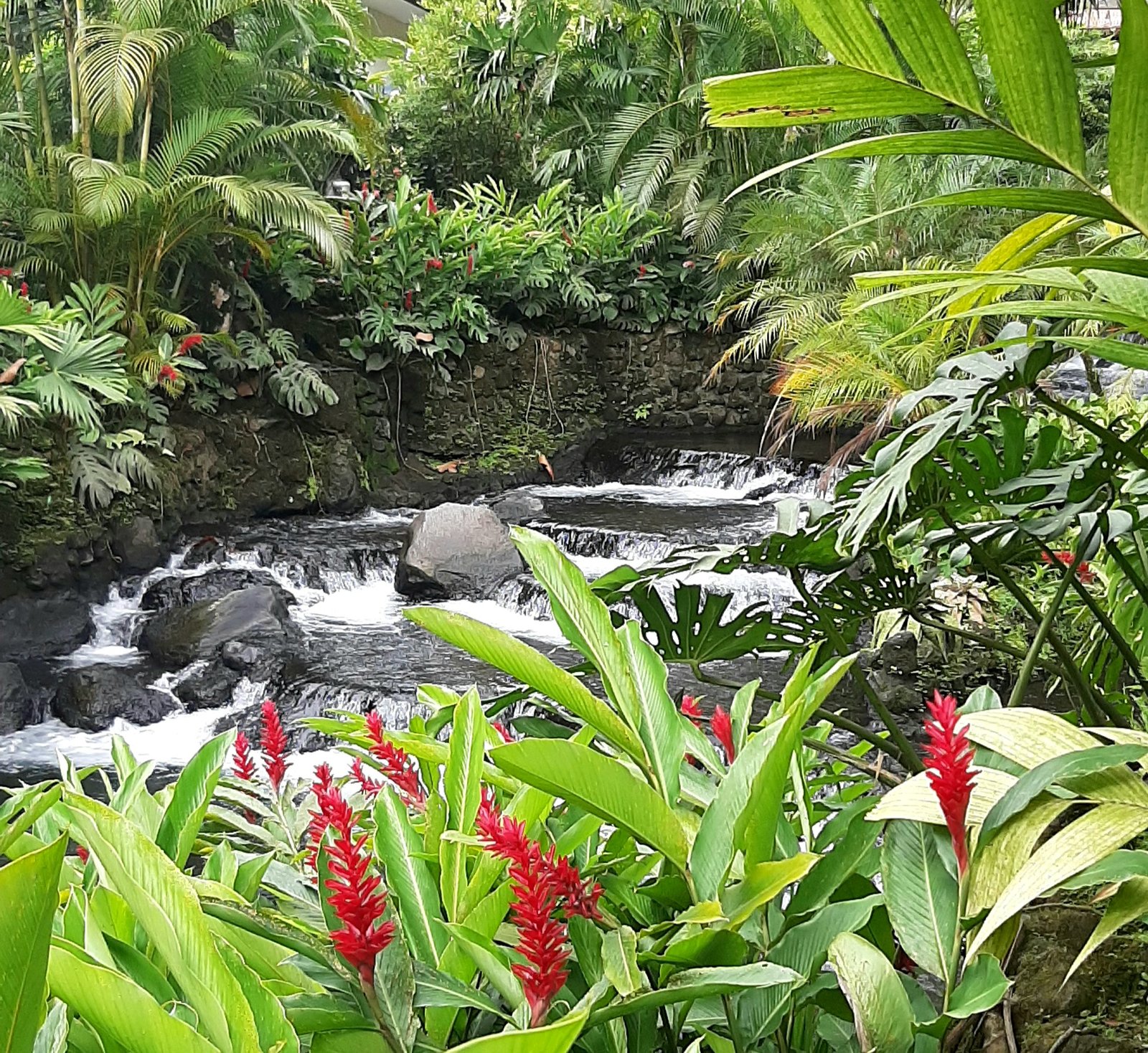 La fortuna viaja a lo loco