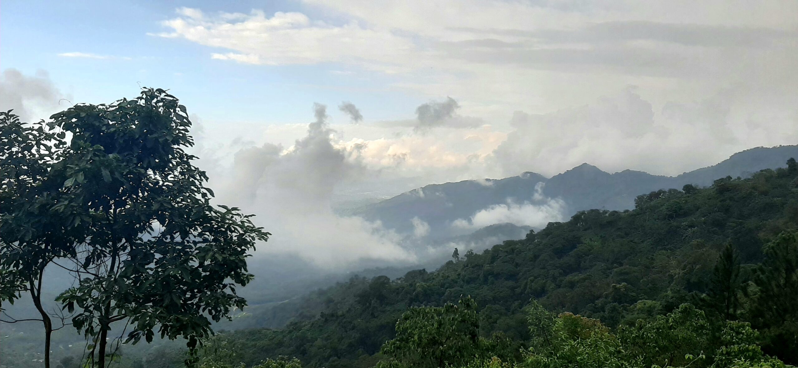 Vija a lo loco Colombie