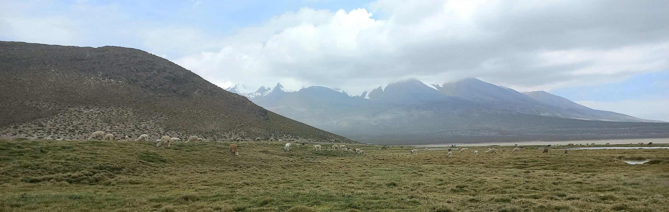 viaja a lo loco arequipa pérou