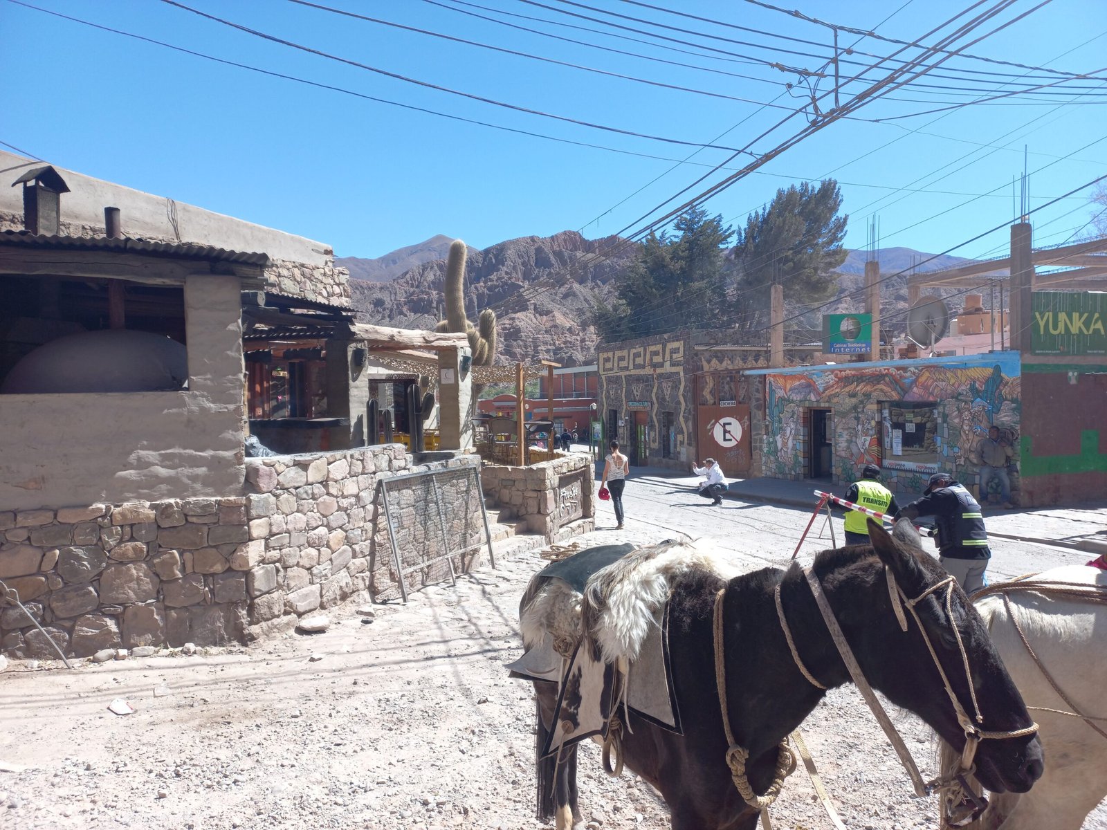 Jujuy Viaja a lo loco