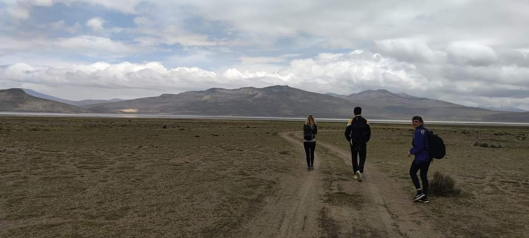Arequipa viaja a lo loco