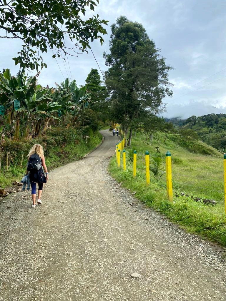 Jardin viaja a lo loco
