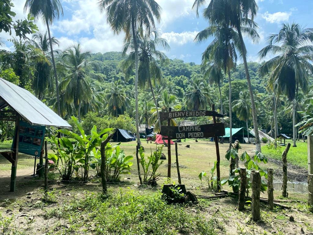 Tayrona viaja a a lo loco