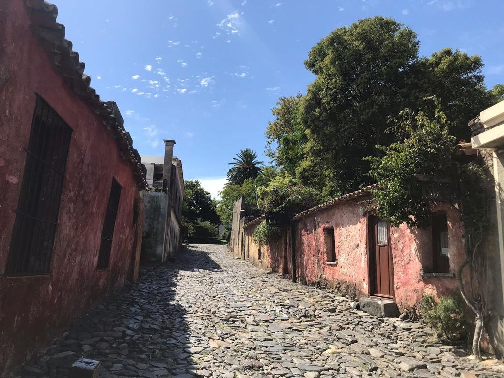 Colonia Viaja a lo loco