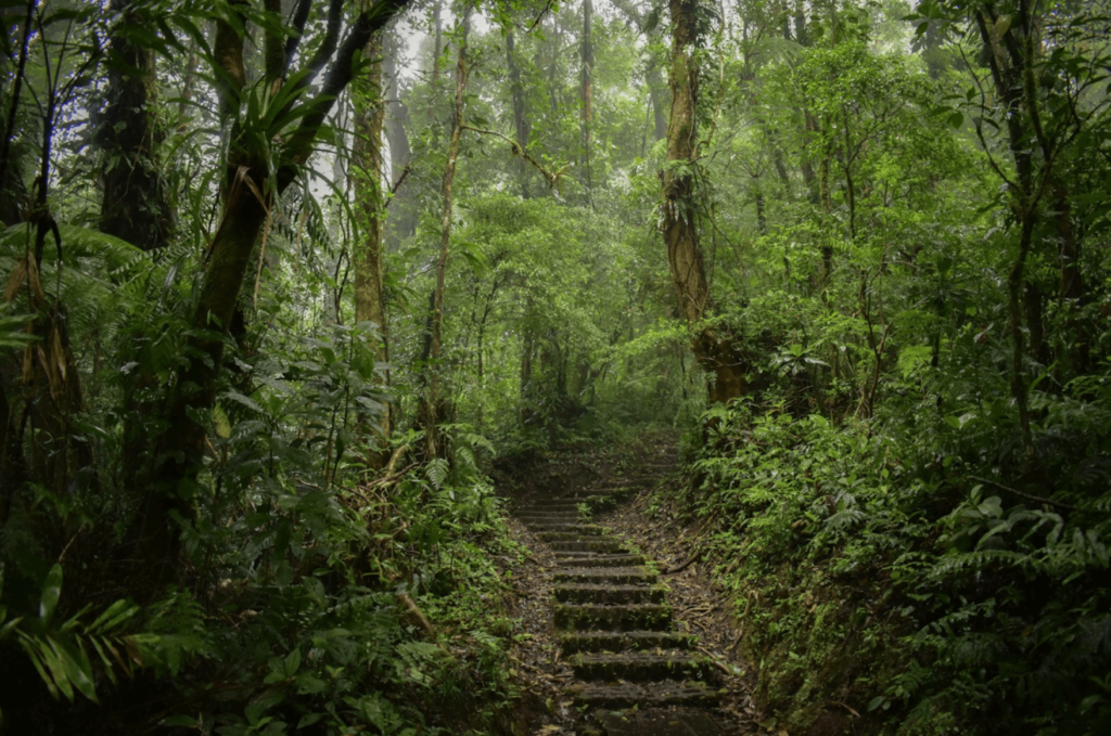 monteverde costa rica a los colores viaja a lo loco